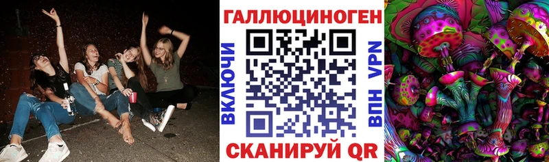 mega маркетплейс  Чердынь  Псилоцибиновые грибы MAGIC MUSHROOMS 